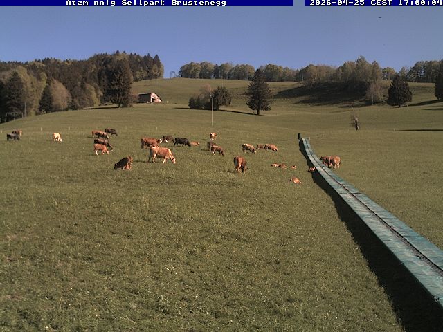 Eschenbach: Atzmännig Seilpark/Brustenegg