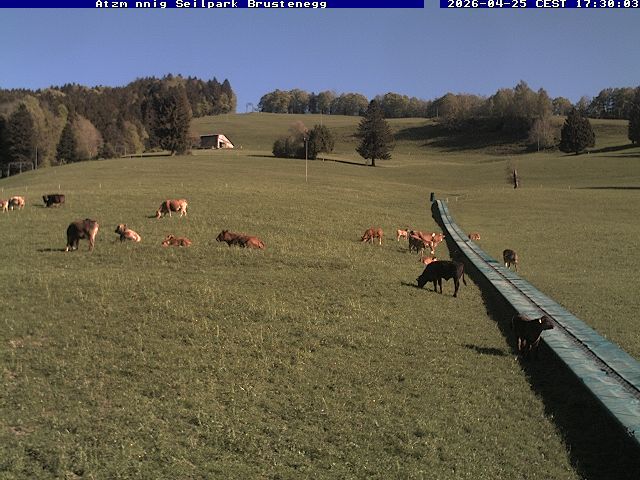 Eschenbach: Atzmännig Seilpark/Brustenegg