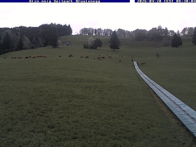 Eschenbach: Atzmännig Seilpark/Brustenegg