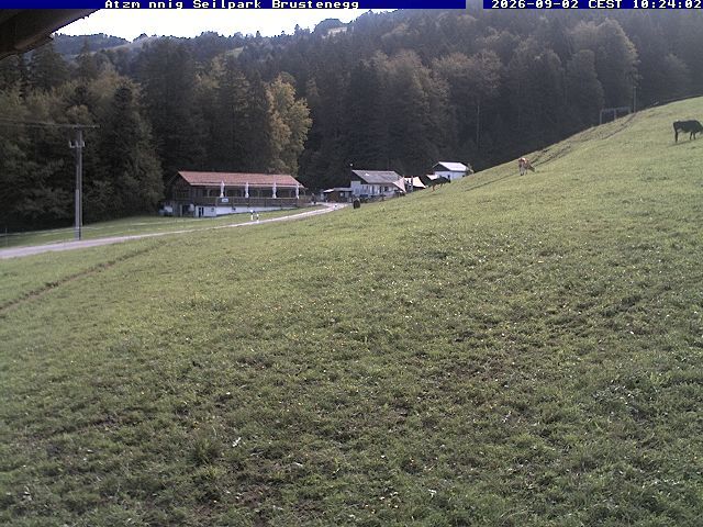 Eschenbach: Atzmännig Seilpark/Brustenegg