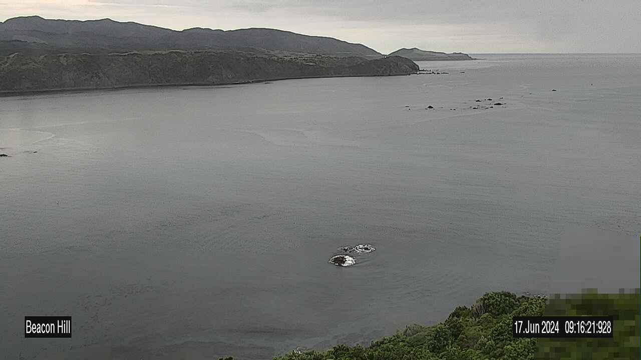 Wellington: Beacon Hill - Breaker Bay 3