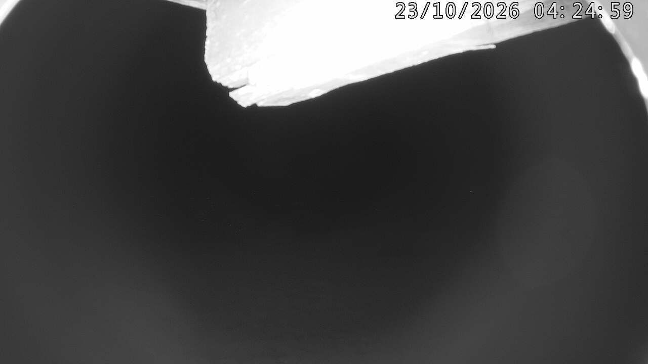 Hasle: First