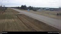 Bellis: Hwy 28 & West of Hwy 36 east of Smoky Lake - Day time