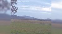 Yeppoon › South: Hedlow -> Windsock - South - Recent