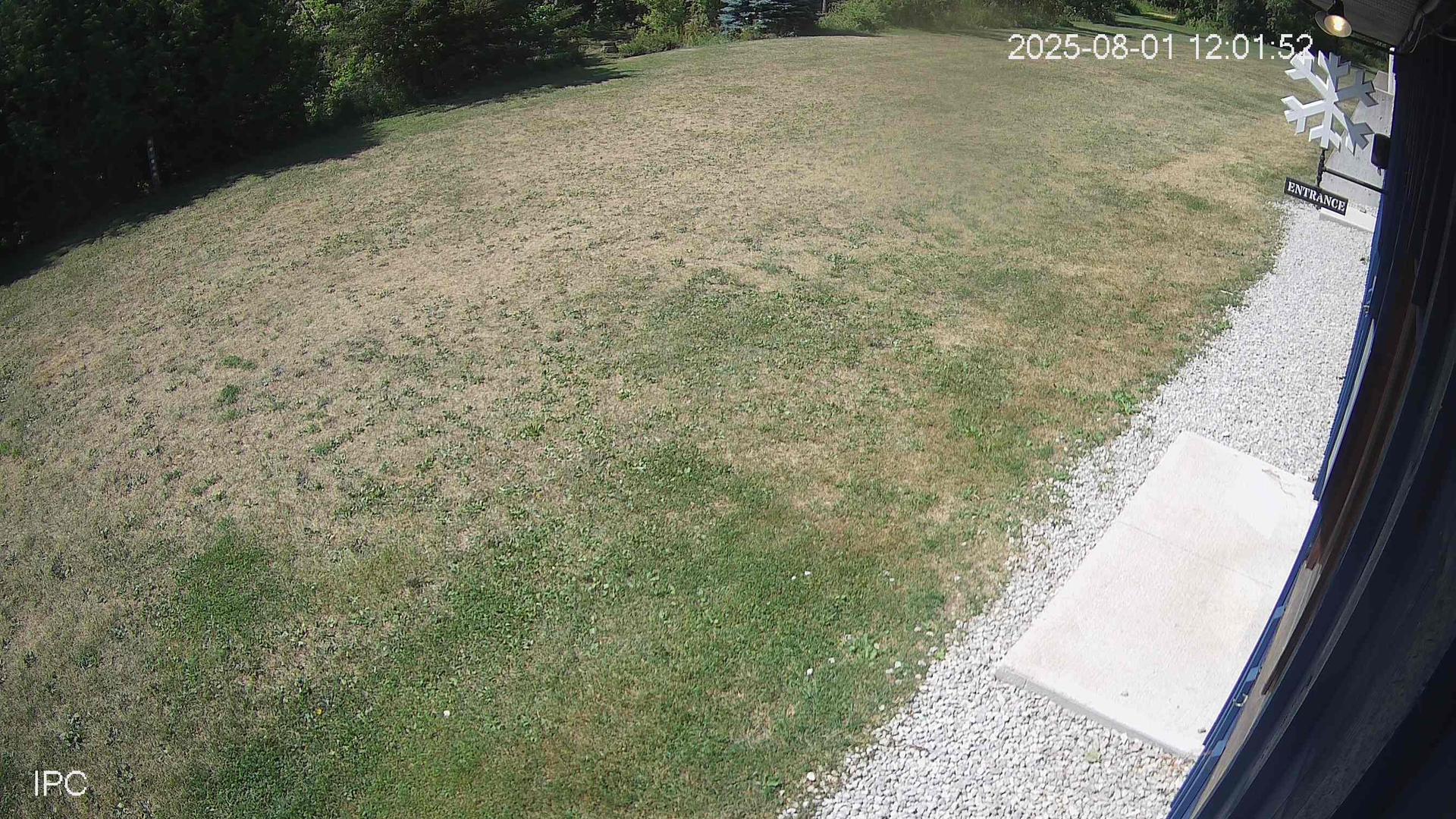 Duntroon webcam
