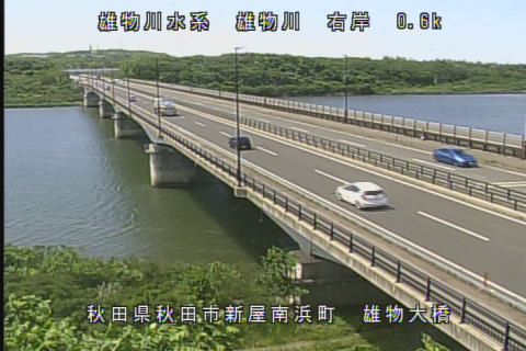 Akita during daytime