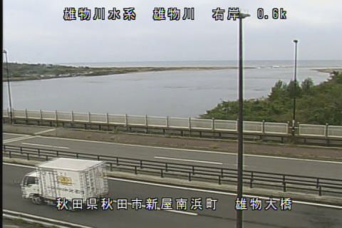 Akita during daytime