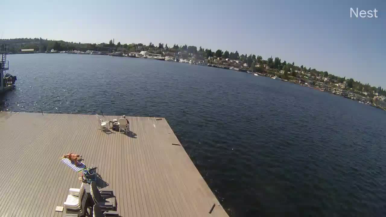 Traffic Cam Seattle