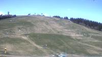 Feldberg