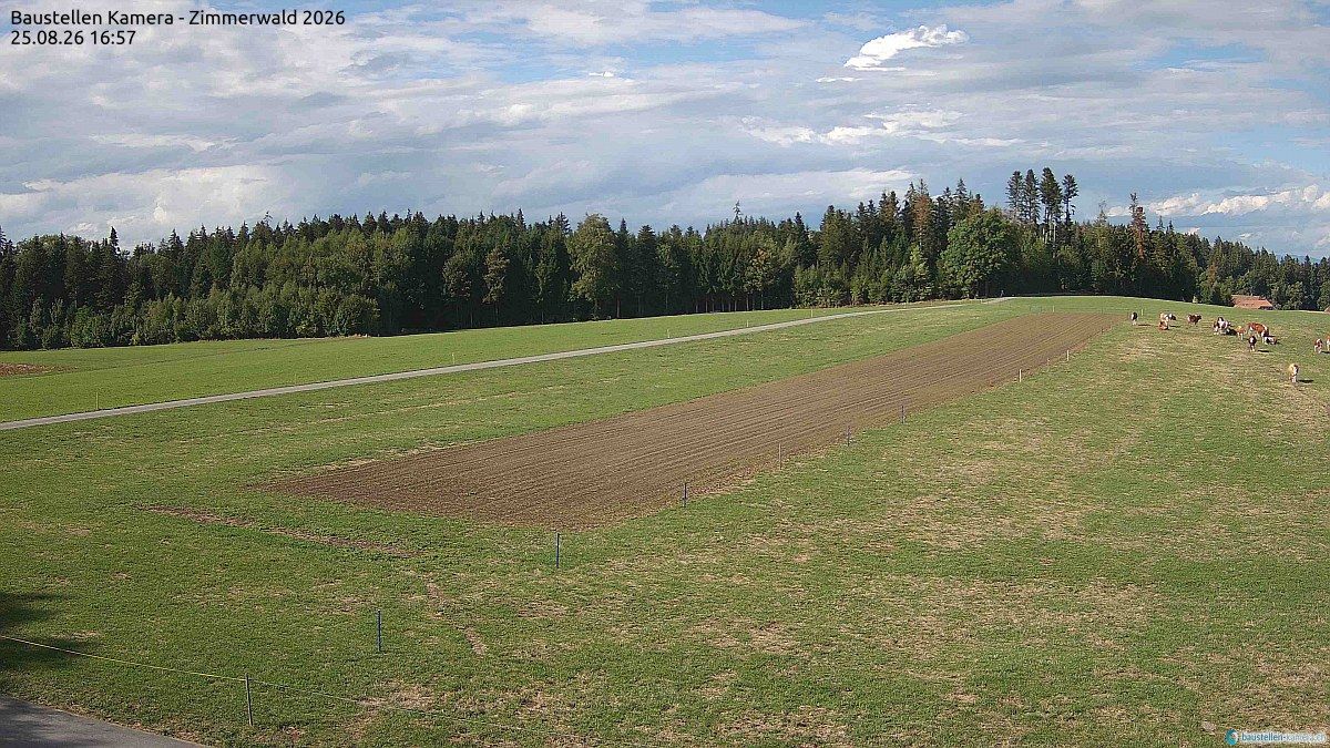 Wald › Norden: Tractor Pulling Zimmerwald