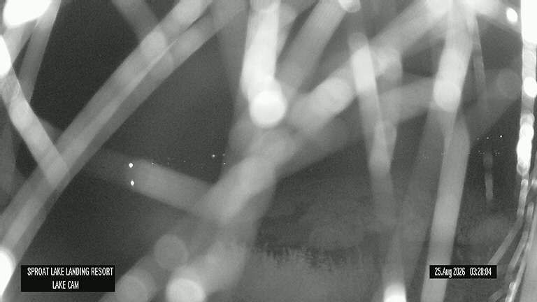 Traffic Cam Area D › East: Sproat Lake Landing Resort