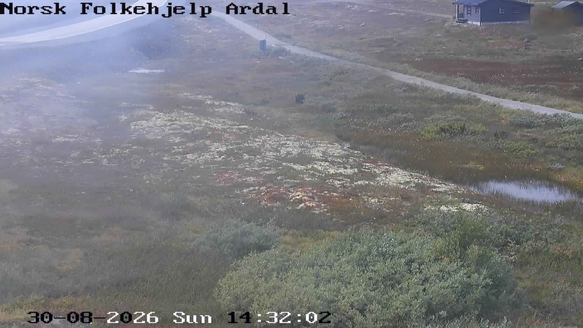 Traffic Cam Ardal › South-West