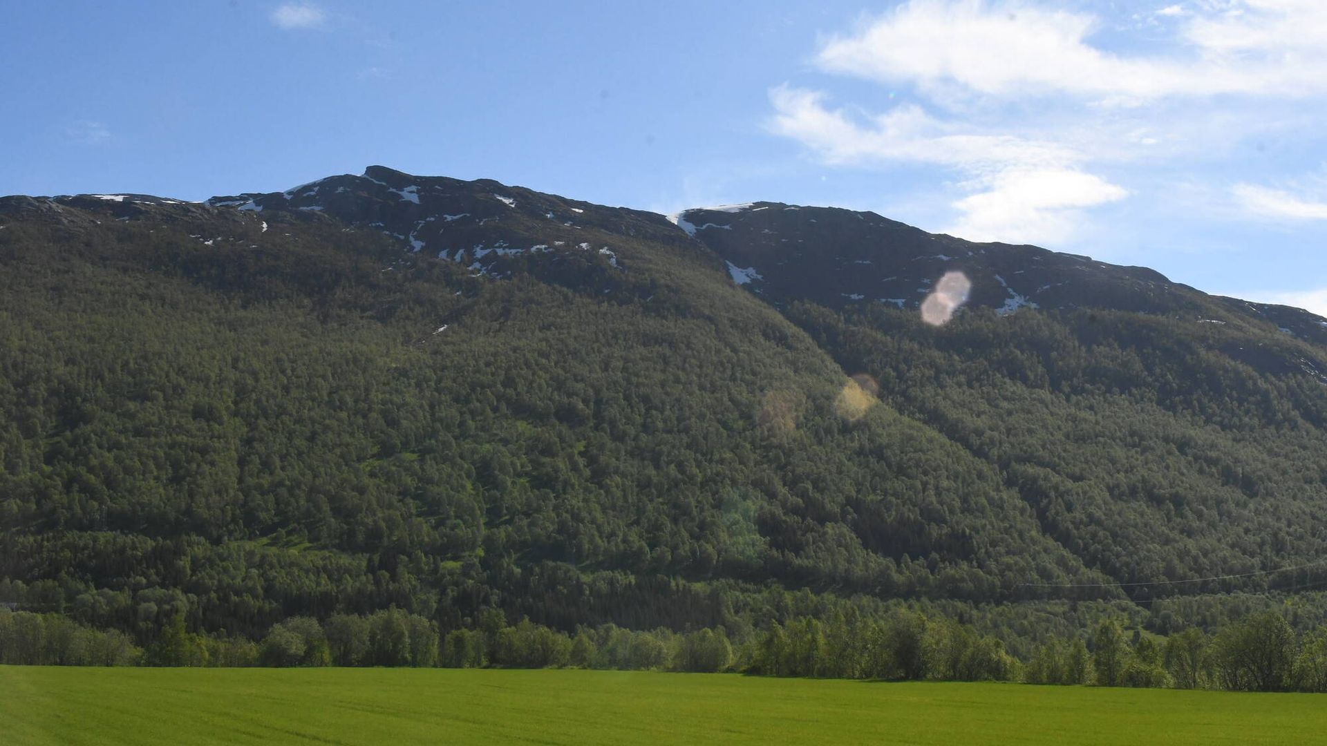 Bardu på dagtid