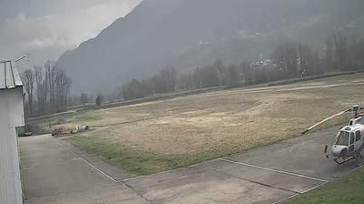 Albertville forest webcam