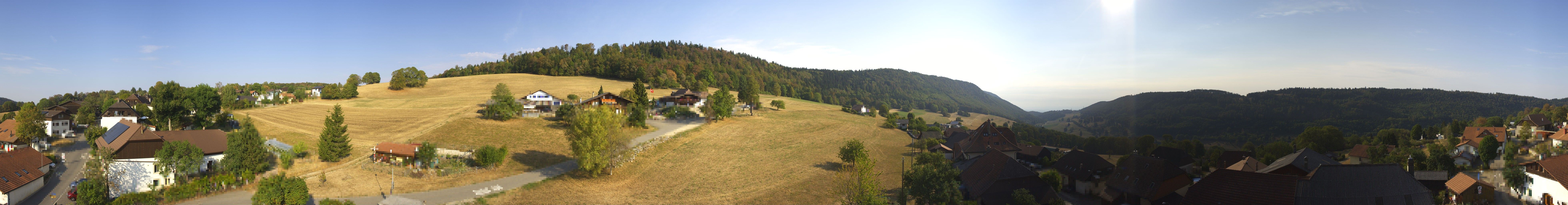 Sauge: Plagne