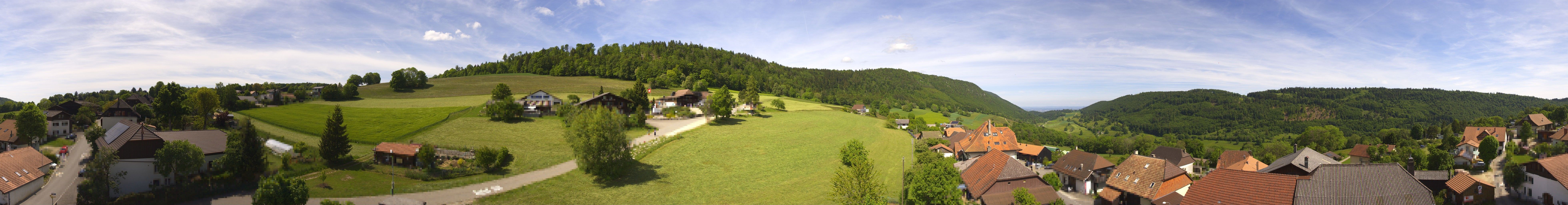 Sauge: Plagne