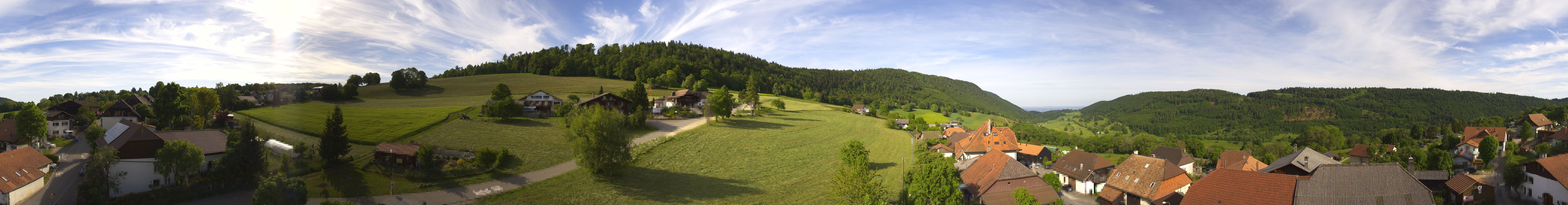 Sauge: Plagne