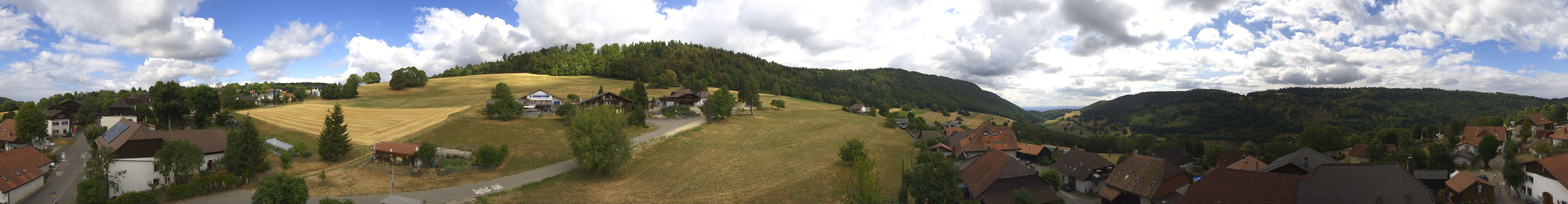 Sauge: Plagne
