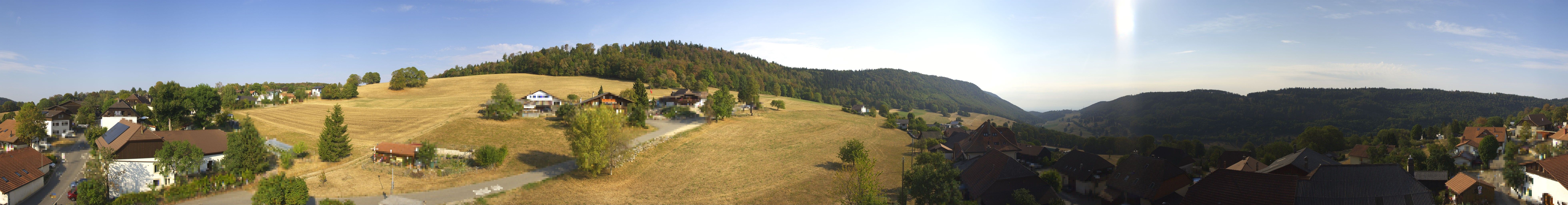 Sauge: Plagne