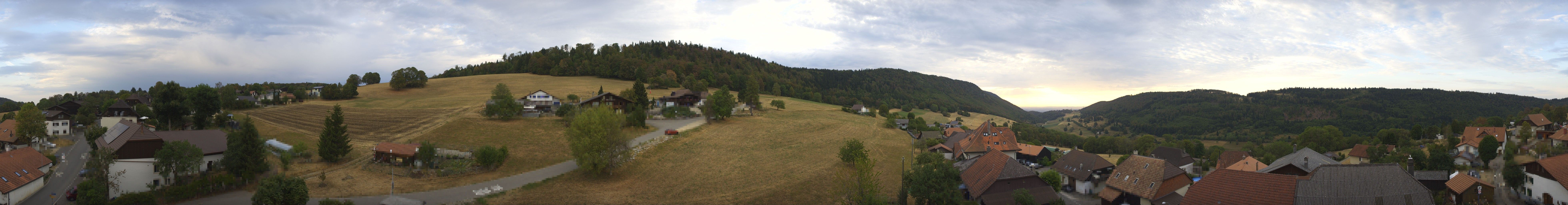 Sauge: Plagne