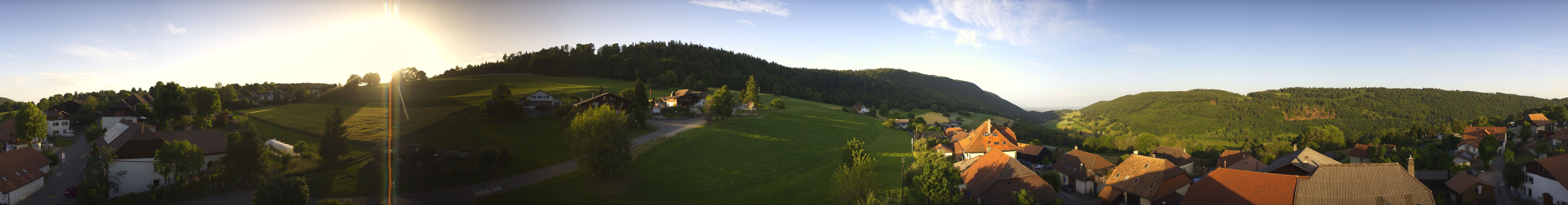 Sauge: Plagne