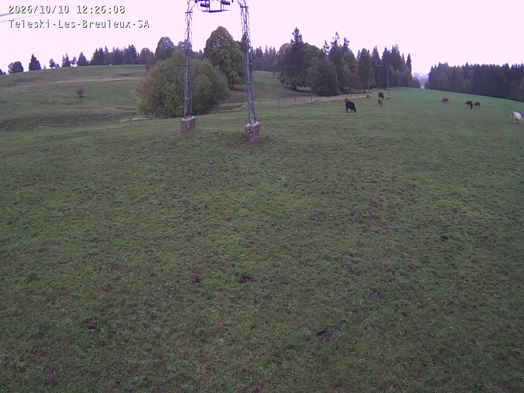 Cormoret › Nordwesten