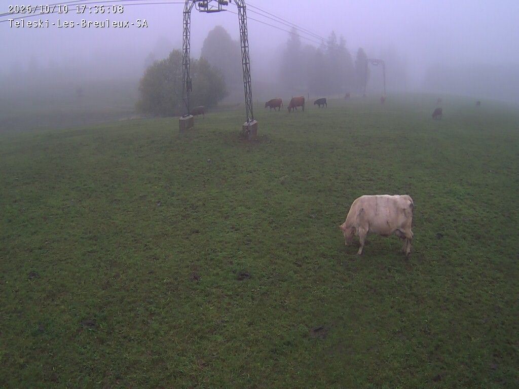 Cormoret › Nordwesten
