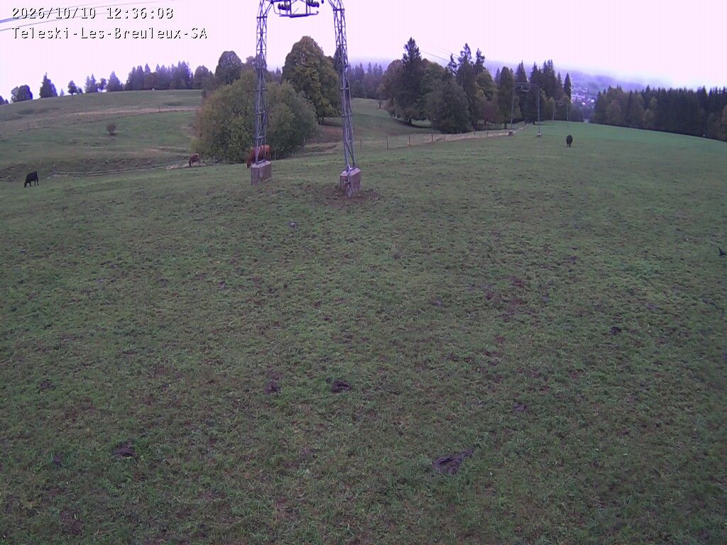 Cormoret › Nordwesten