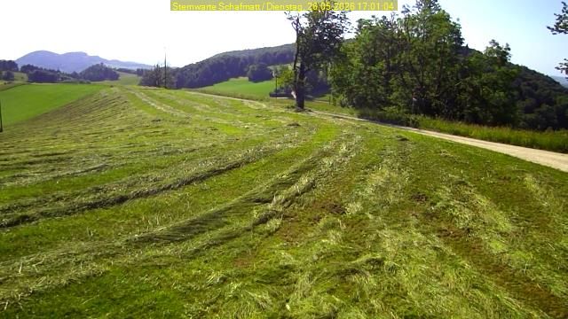 Oltingen › Südwesten