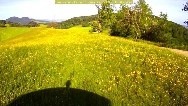 Oltingen › Südwesten