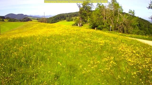 Oltingen › Südwesten