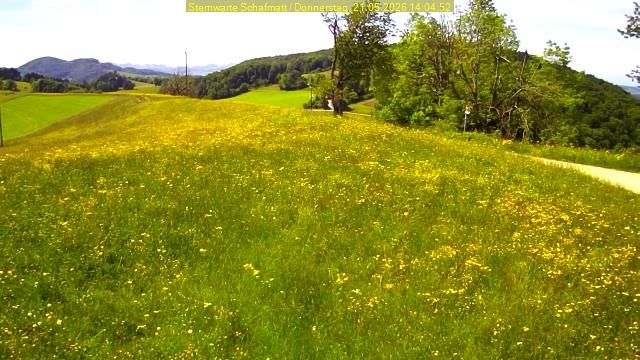 Oltingen › Südwesten