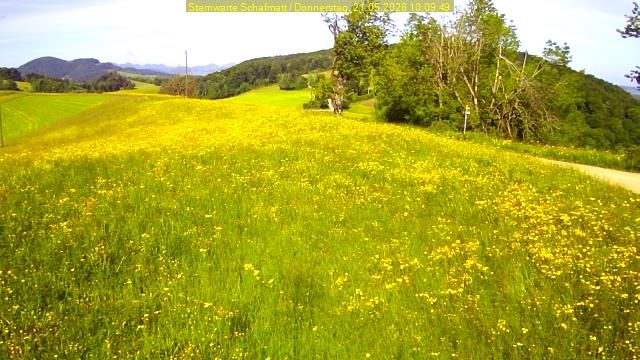 Oltingen › Südwesten