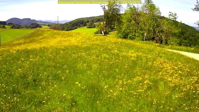 Oltingen › Südwesten