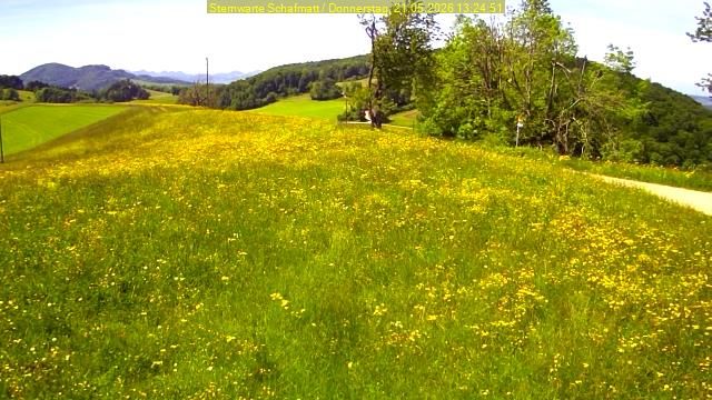 Oltingen › Südwesten