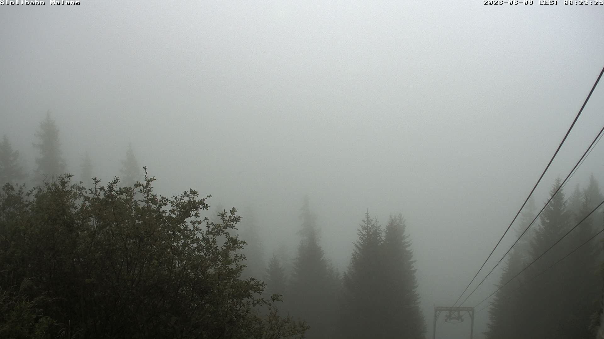 Malans › Süden: Fadärastein - Landquart - Mittagsplatte