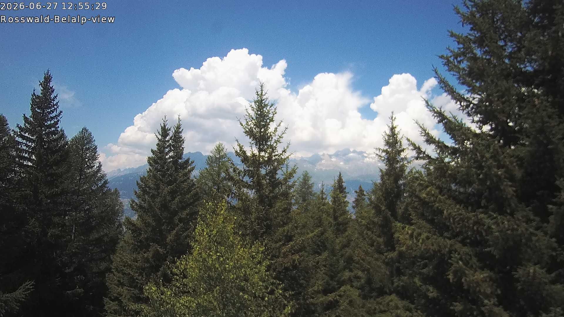 Rosswald