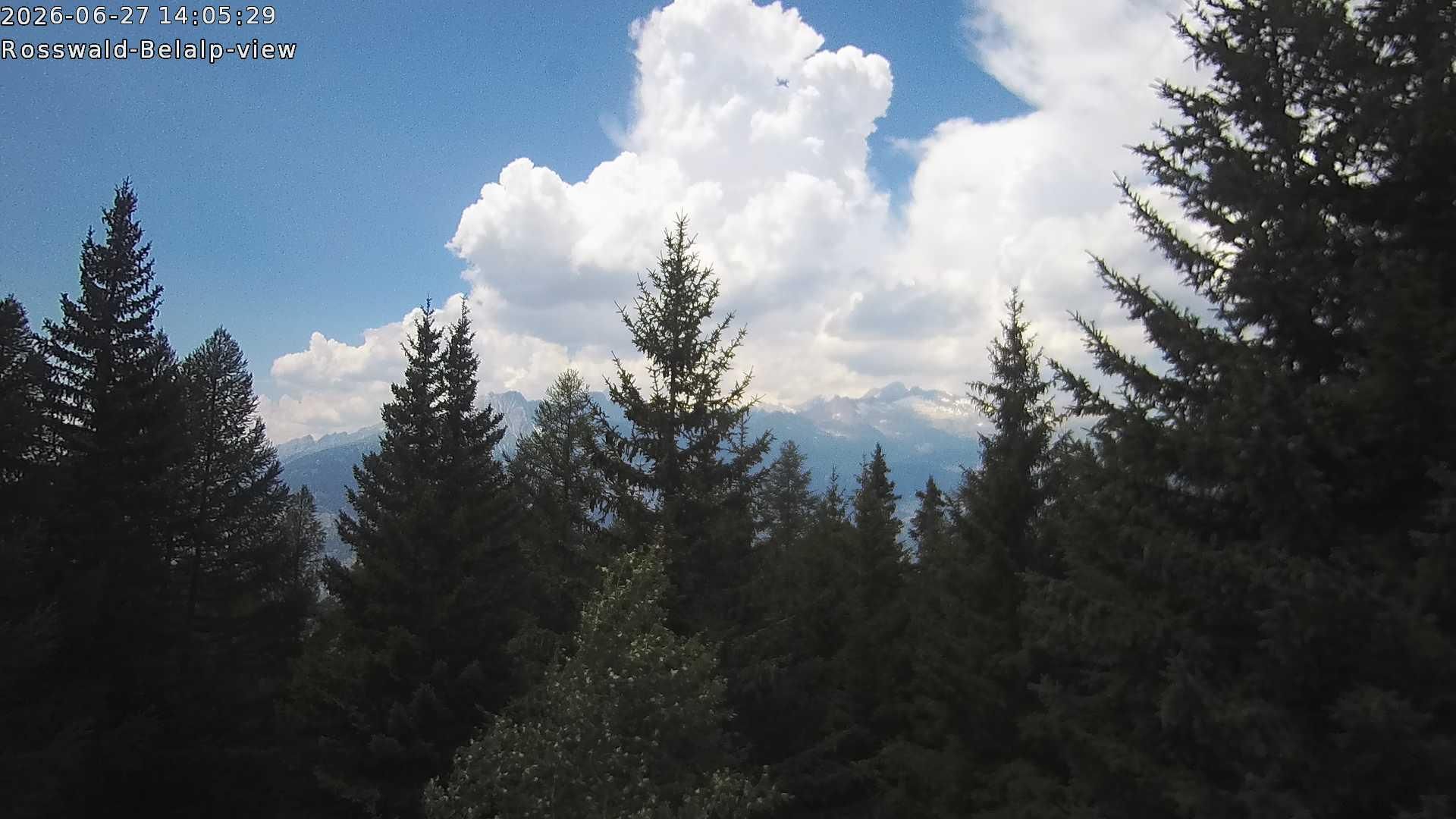 Rosswald