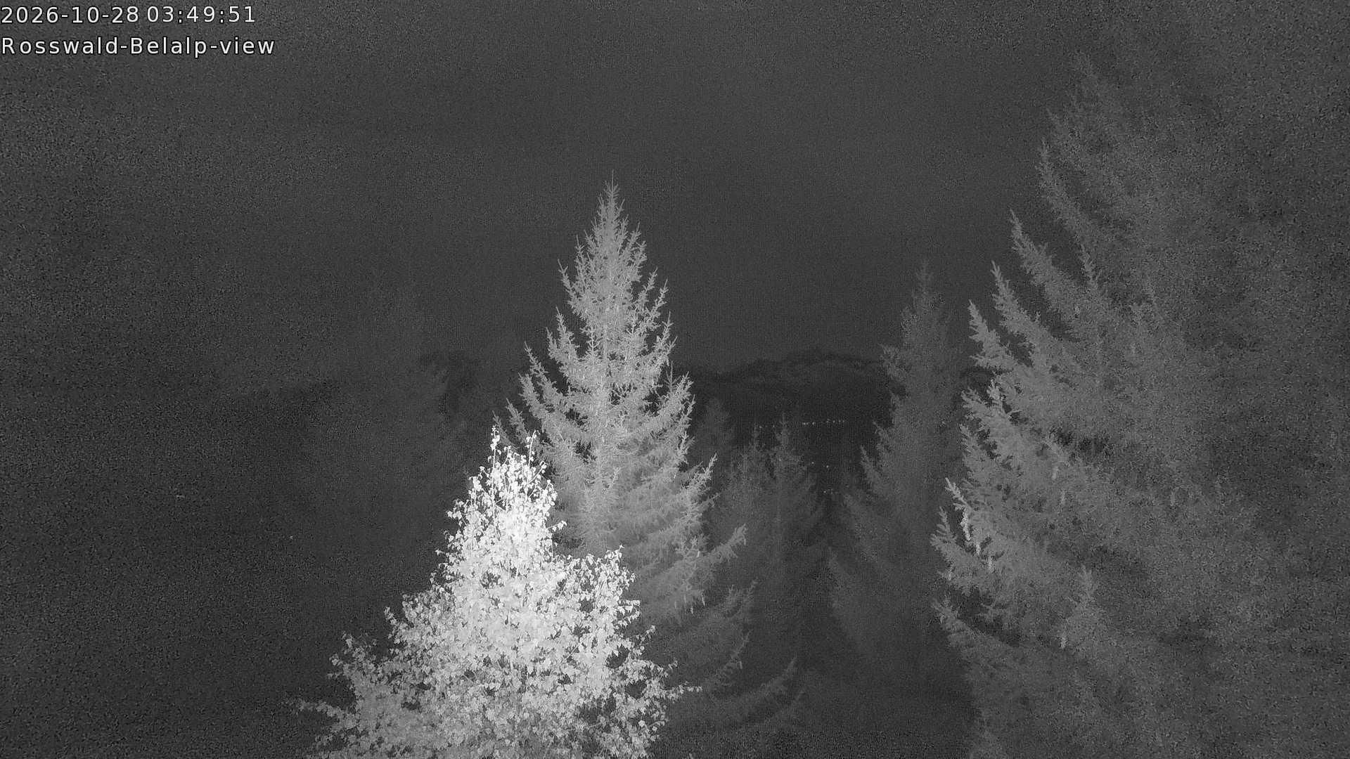 Rosswald › Nordwesten: Belalp