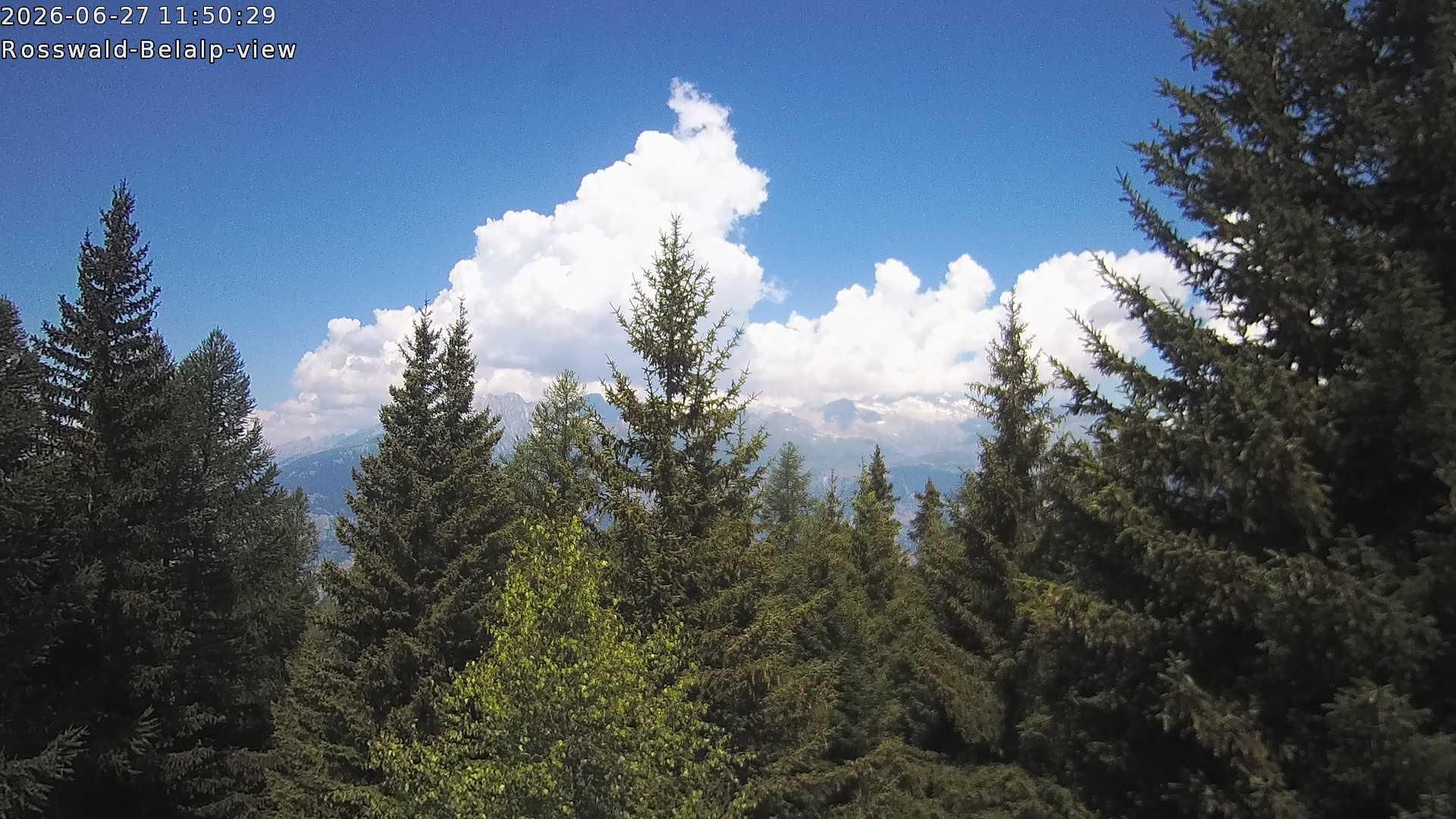 Rosswald