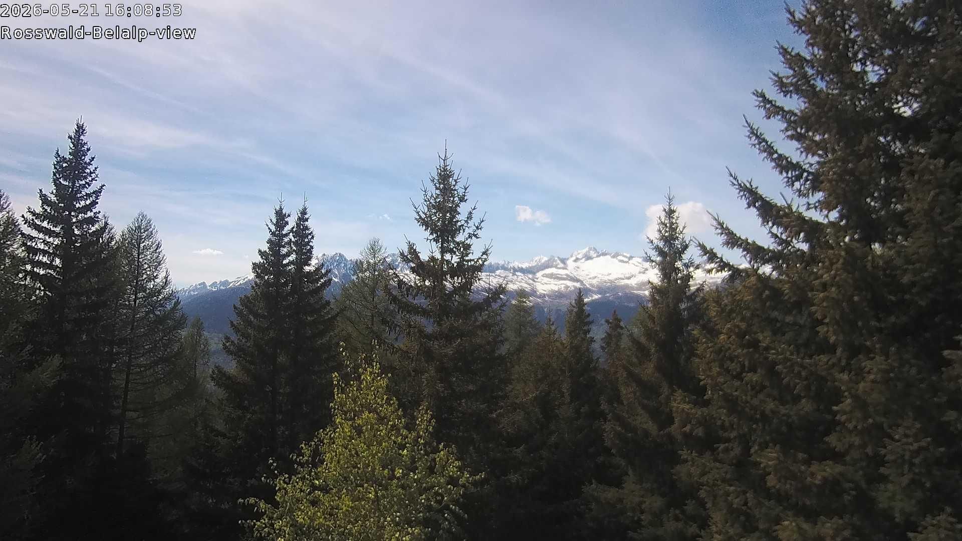 Rosswald