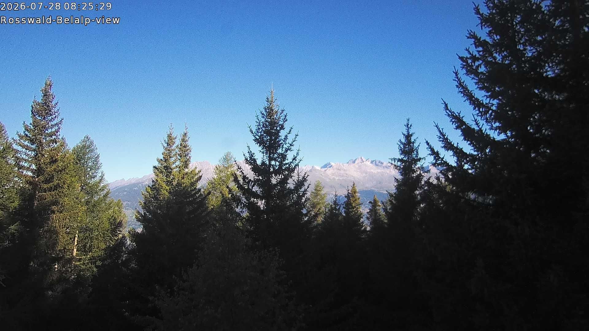 Rosswald › Nordwesten: Belalp