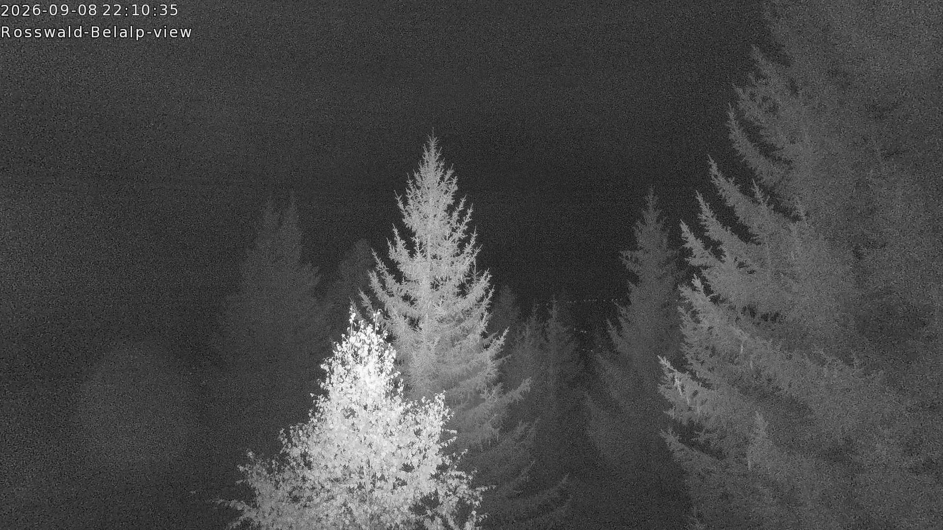 Rosswald › Nordwesten: Belalp