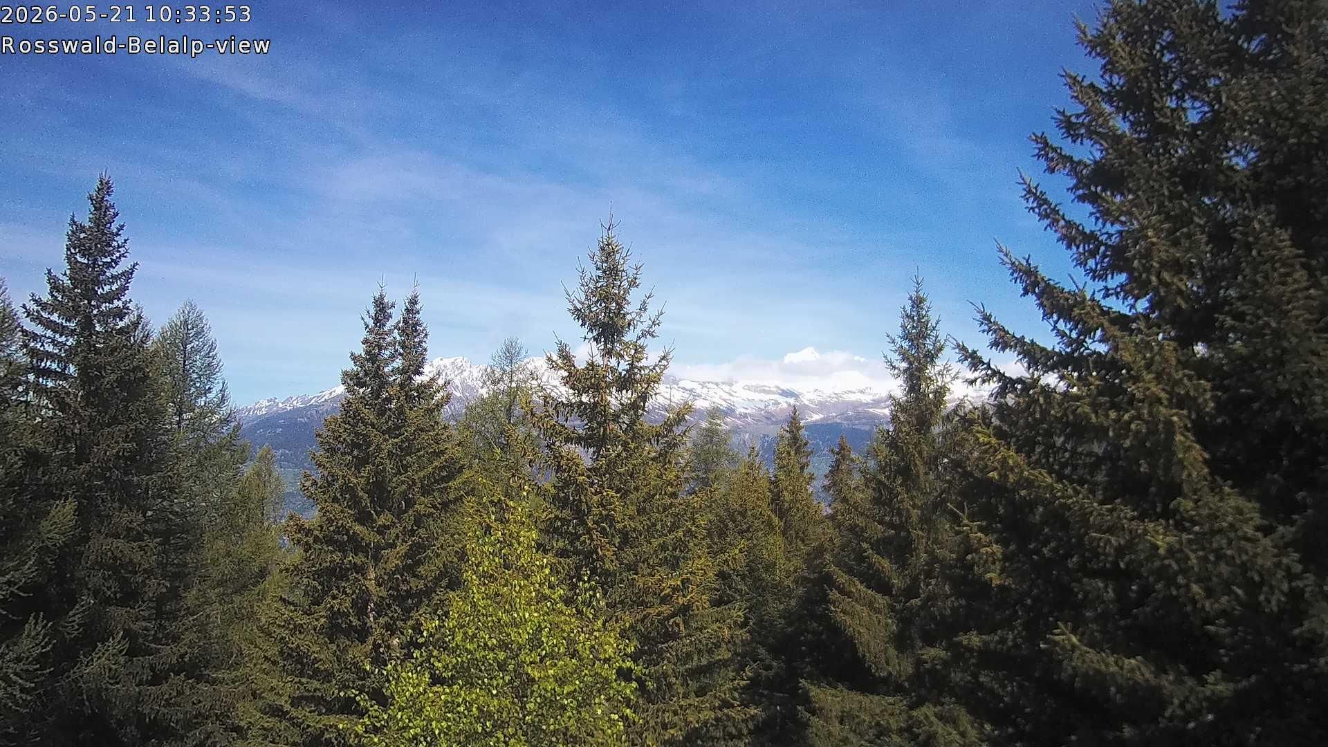 Rosswald