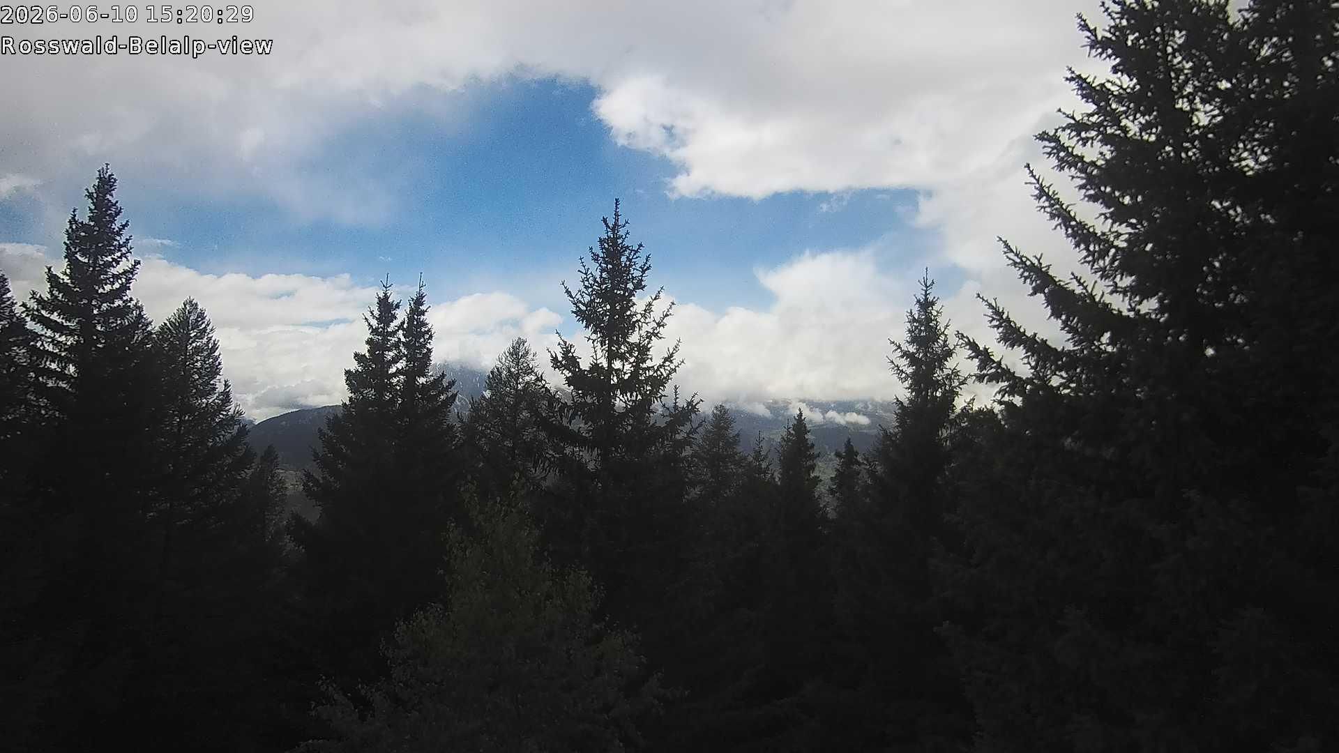Rosswald