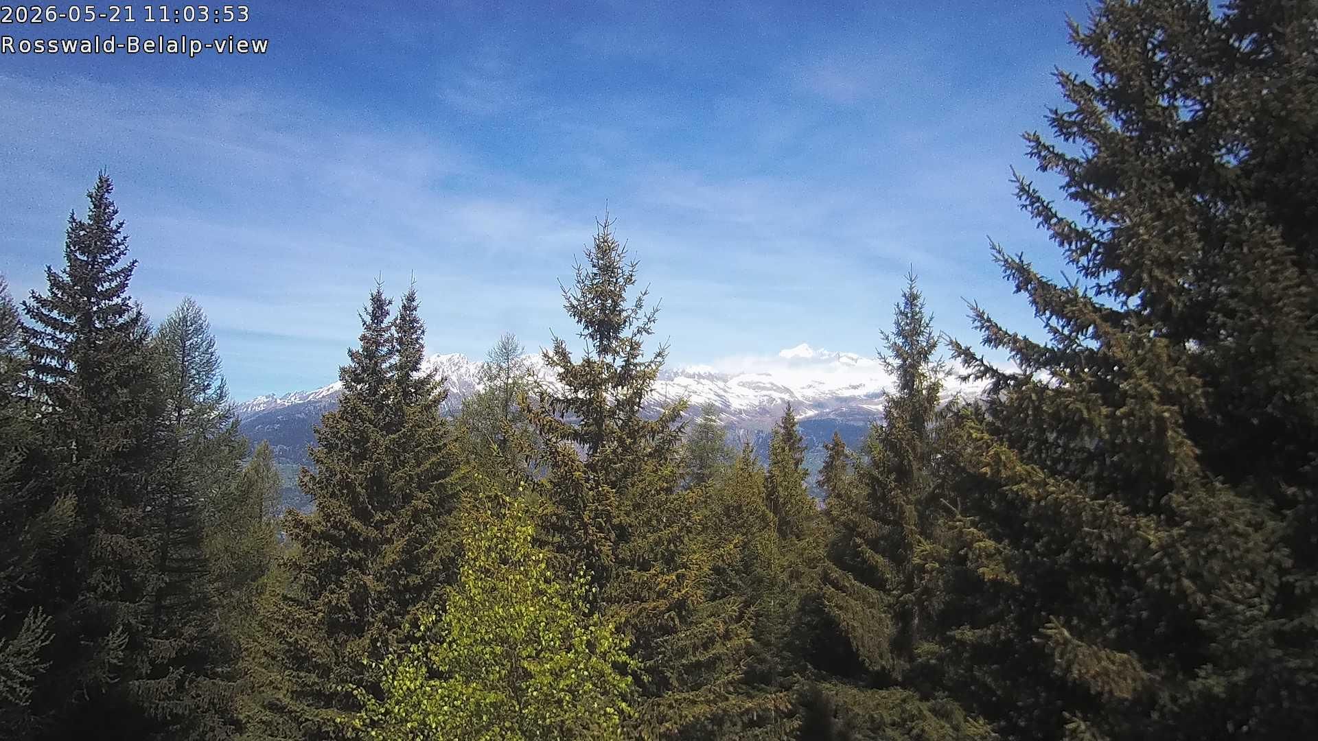 Rosswald