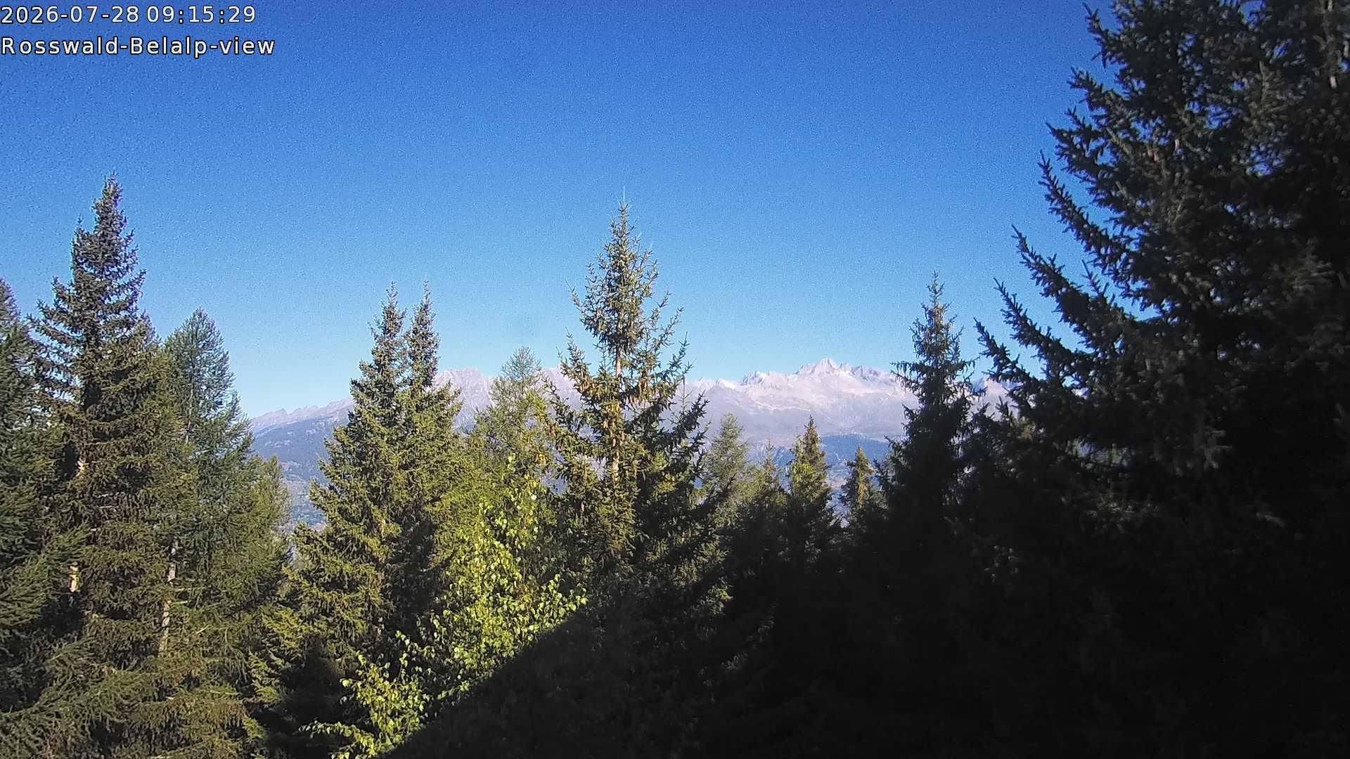 Rosswald › Nordwesten: Belalp