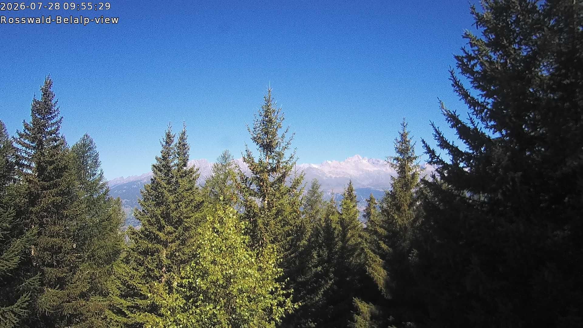 Rosswald › Nordwesten: Belalp