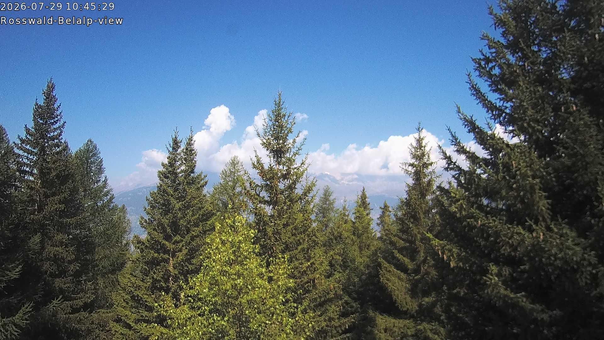 Rosswald › Nordwesten: Belalp