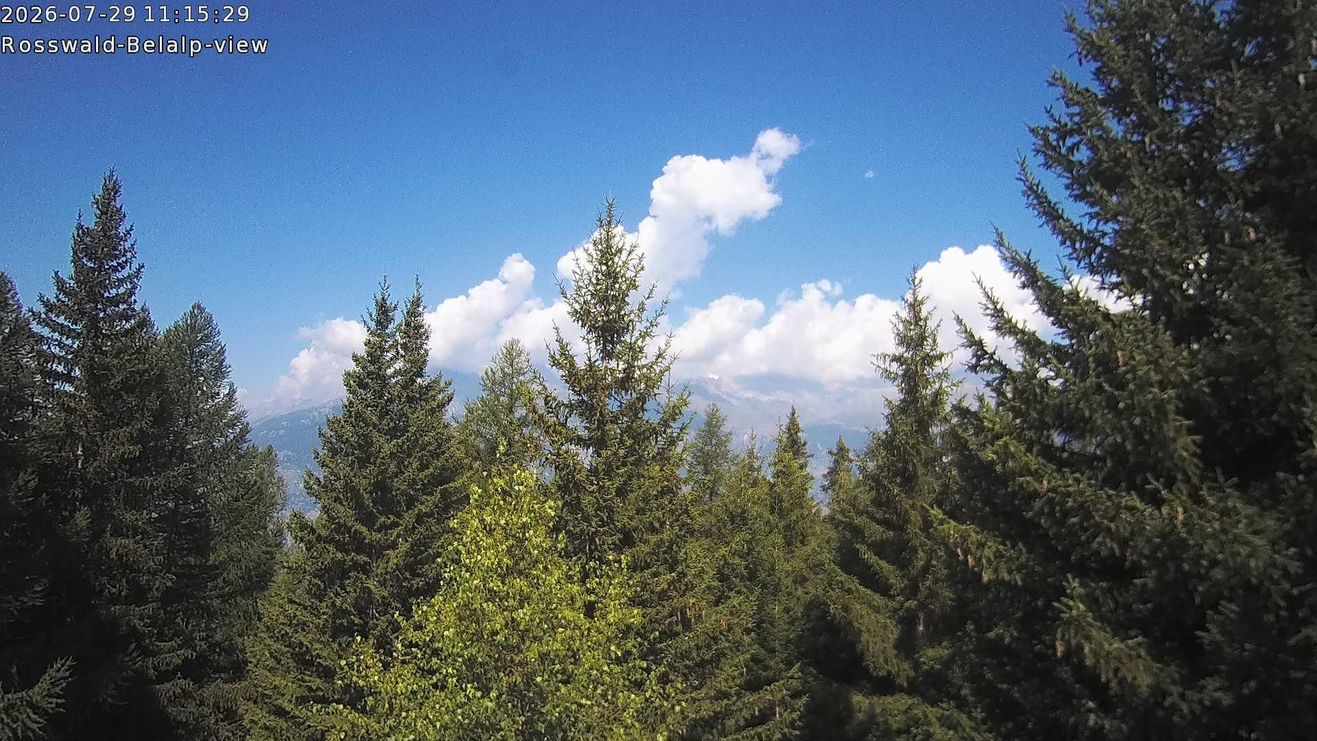 Rosswald › Nordwesten: Belalp